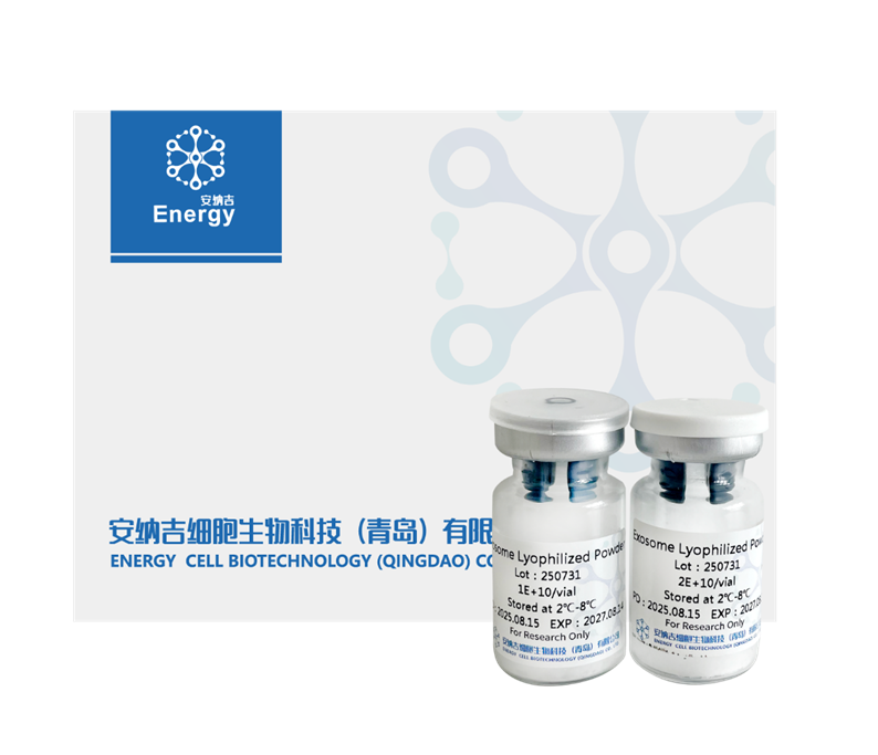 间充质干细胞外泌体